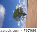 Philosophy tree 797086