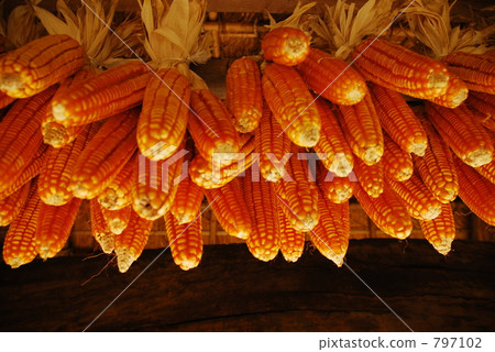 Lots of corn Lots of corn 797102