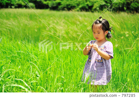 Children playing on the meadow Children playing on the meadow 797285