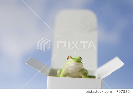 box, white, frog 797886