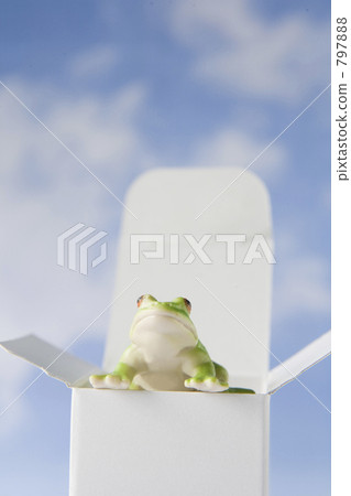 盒子 白色 青蛙 797888