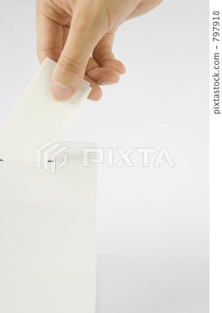 選舉 投票 白色 797918