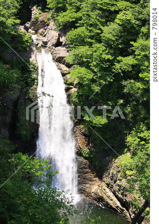 Otaki裹著綠色 798014