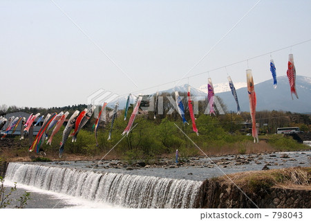 鯉魚旗在河中游弋 798043