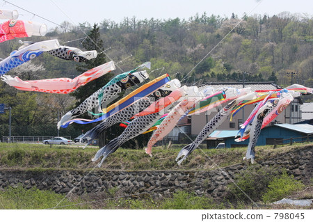 精力充沛的鯉魚流光 798045