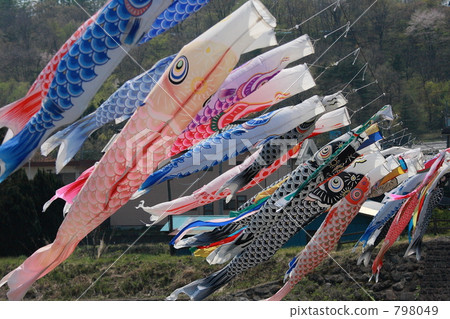 Swim in the wind Swim in the wind 798049
