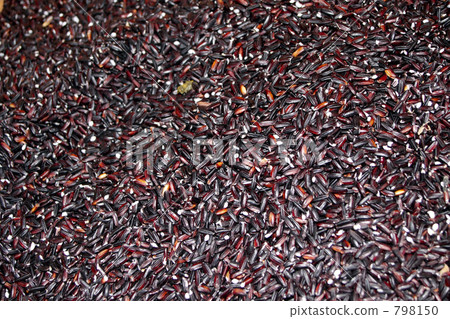 Ancient rice 3 Ancient rice 3 798150