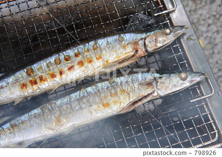 燒烤的秋刀魚 798926