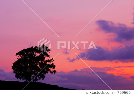 Akanero no Oka 799660