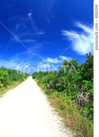 Kudakajima's way Kudakajima's way 800284