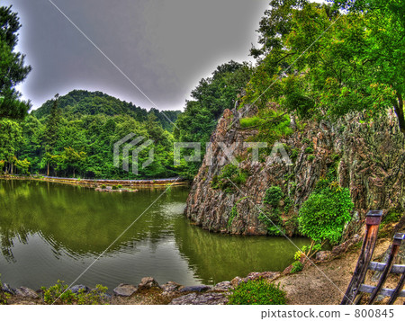 eiho-ji, eihoji temple, pinetree 800845