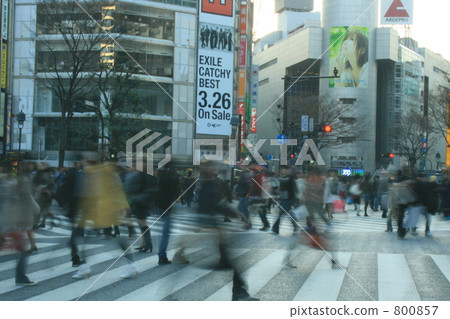 shibuya, multiple intersection, metropolis 800857