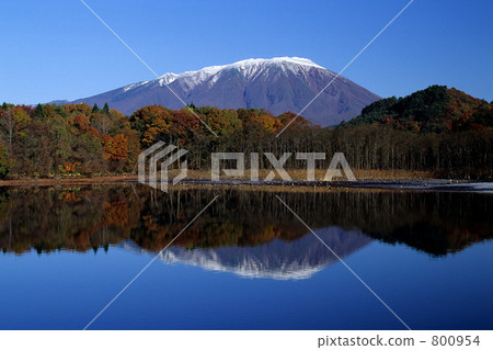 Iwateyakushi Iwateyakushi 800954