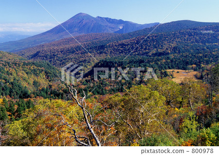Hachimantaihe in autumn (From the Jukai Line) 800978