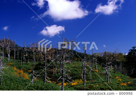 Hachimantai in autumn 800998