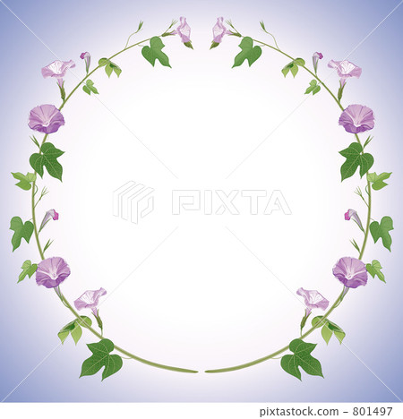 框架 边框 边缘