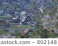shirakawa-go, shirakawago, early morning 802148