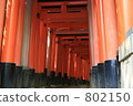 fushimi inari, Torii Gate, red 802150