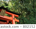 fushimi inari, trees, Torii Gate 802152