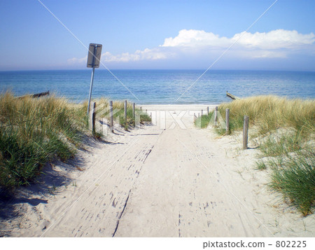 Road leading to the beach 802225