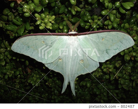 Large blue water Large blue water 802487