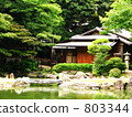 yasukuni shrine, water surface, garden 803344