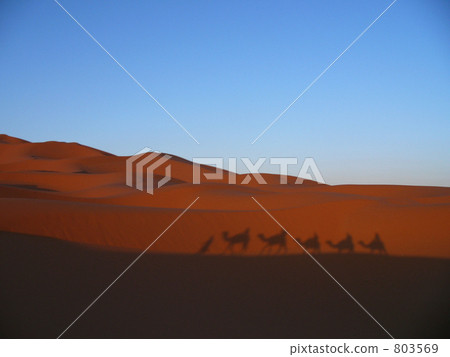 Sahara Desert 803569