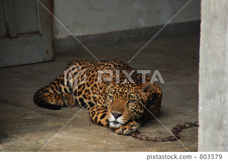 一個無聊的日子 803579