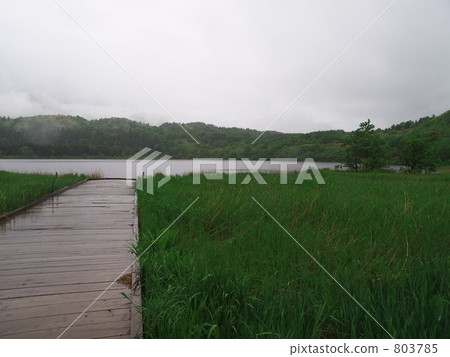 Otatomari marsh Otatomari marsh 803785