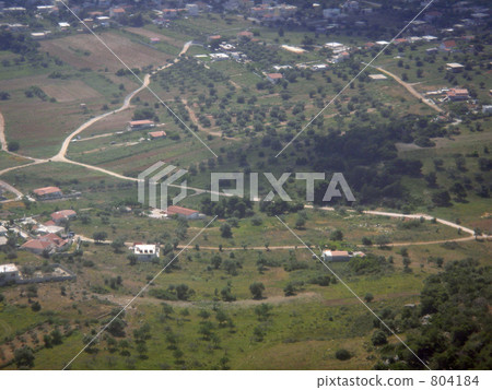 雅典郊區的橄欖油田 804184