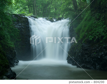 Tonigaki Akita ken 804200