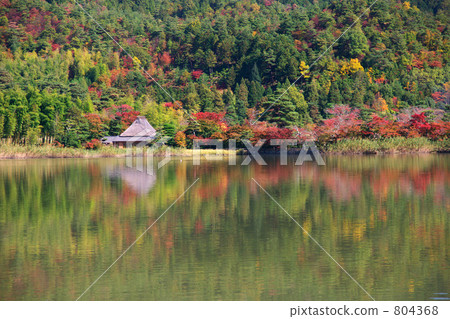 池塘 鹹水湖 遍照寺池 804368