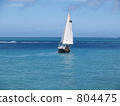 yacht, yachts, sail boat 804475