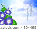  早晨的太陽 804499