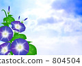  早晨的太陽 804504