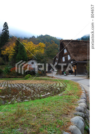 Shirakawago  - 稻田和稻田的曲線 804657