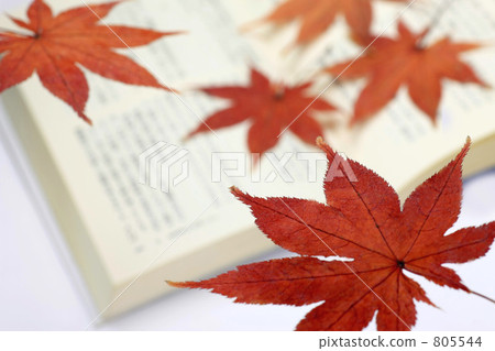 Bookmark of autumn leaves Bookmark of autumn leaves 805544