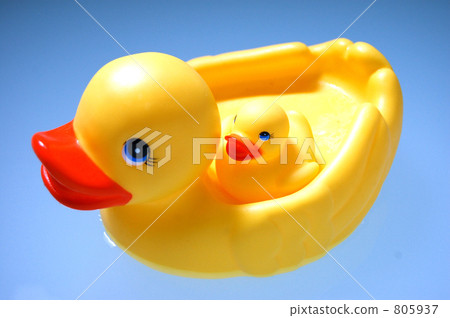 Duck 805937