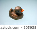 Gold duck Gold duck 805938
