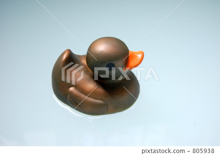 Gold duck 805938