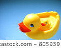 Duck Duck 805939