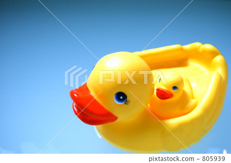 Duck 805939
