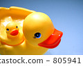 Duck Duck 805941