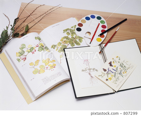 sketch, sketches, sketchbook 807299