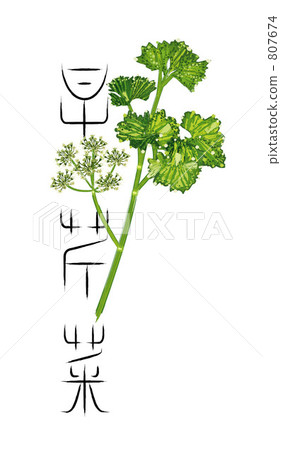 歐芹和刷子 807674