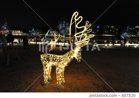 發光的馴鹿 807820