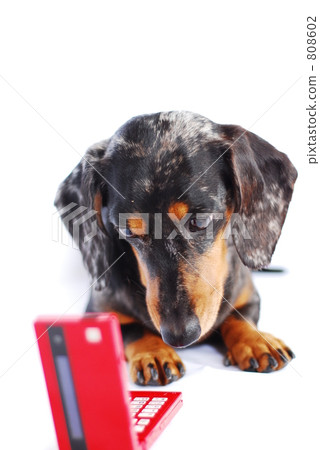 cell-phone, handphone, mobile phone 808602