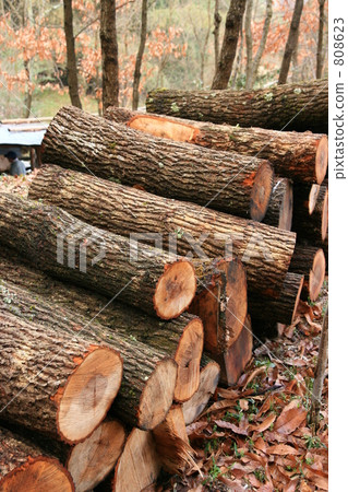 Knogi的日誌 808623