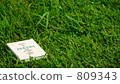 A book in the grassland 809343