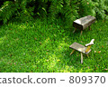 Forest bench 809370